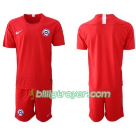 Billige Fotballdrakter Chile Barn Hjemmedraktsett 2018/19 Kortermet